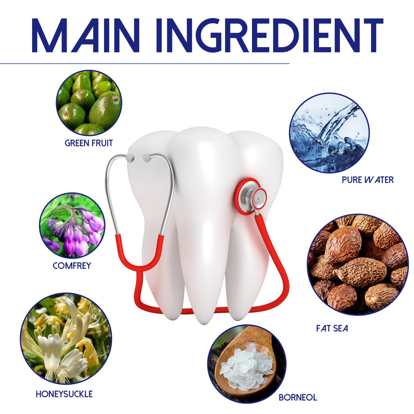 Dental ingredients infographic with tooth model and herb component circles