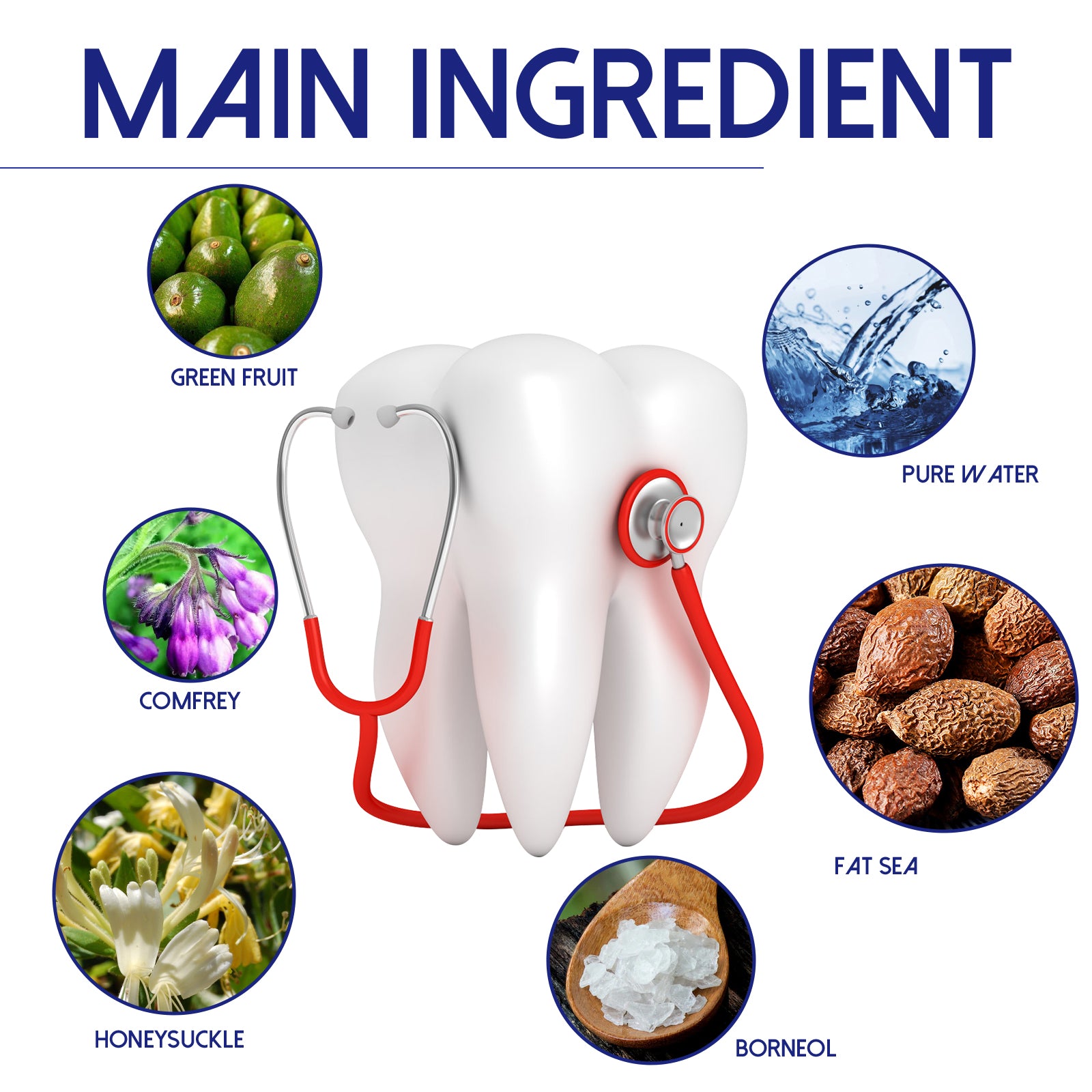 Dental ingredients infographic with tooth model and herb component circles